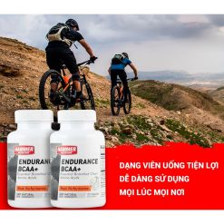 BCAA - Viên Uống BCAA+ Hammer Nutrition – Hỗ Trợ Sức Bền, Phục Hồi Cơ Bắp Cho Người Chạy Bộ & Tập Luyện Cường Độ Cao