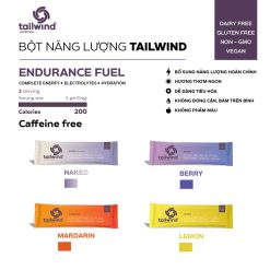 Bột Năng Lượng bổ sung năng lượng trong vận động kéo dài Tailwind Endurance Fuel gói 54g chạy trail