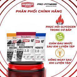 Bột phục hồi cơ Hammer Recoverite – Giảm đau cơ, hỗ trợ xây cơ sau tập luyện – Profitness Store