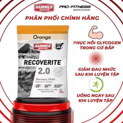 Bột phục hồi cơ Hammer Recoverite – Giảm đau cơ, hỗ trợ xây cơ sau tập luyện – Profitness Store