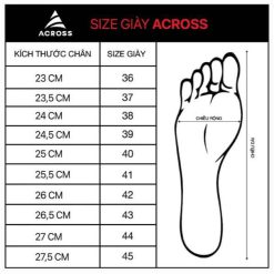Dép Chạy Bộ, Dép Chạy Phục Hồi FLOWSTEP Across Nam Nữ – Dép Thể Thao Êm Chân, Chống Sốc, Nhẹ, Thoáng Khí-RunZone