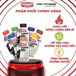 Gel năng lượng thể thao Hammer Nutrition - Cung cấp năng lượng Chạy Bộ Đạp Xe Chạy Trail (Gói 33g)