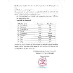 THỰC PHẨM BỔ SUNG GU GEL PINEAPPLE- RunZone